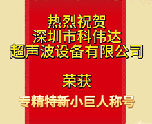午夜视频福利：荣获深圳市第五批专精特新“小巨人”企业荣誉称号